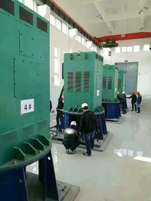 蕲春某污水处理厂使用我厂的立式高压电机安装现场