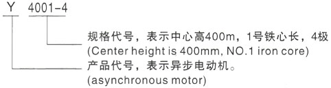 西安泰富西玛Y系列(H355-1000)高压蕲春三相异步电机型号说明